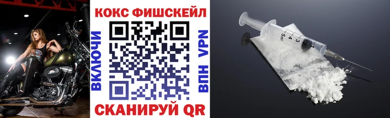 как найти закладки Медвежьегорск Кокаин Fish Scale