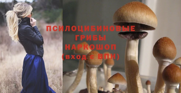дживик Кукмор