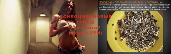 дживик Кукмор