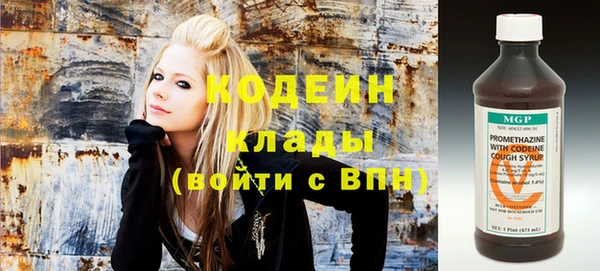 мдпв Корсаков